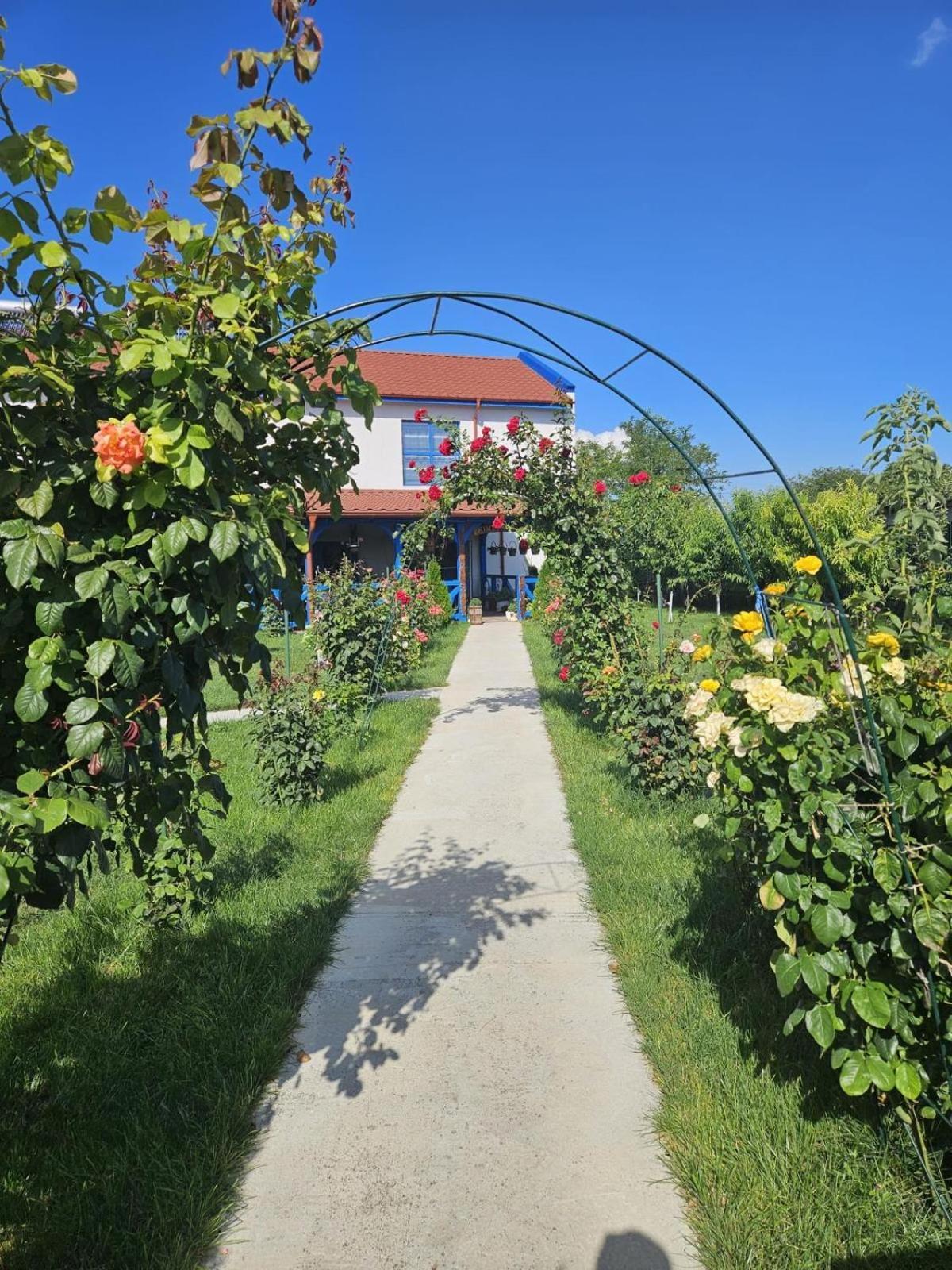 Agropensiuea Casa Uncu Hotel Murighiol Exterior foto